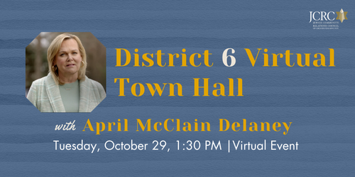 District 6 Virtual Town Hall with April Delaney