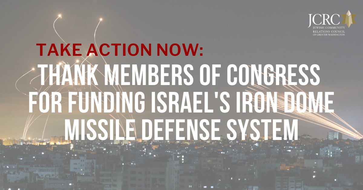 Iron Dome Action Alert TY